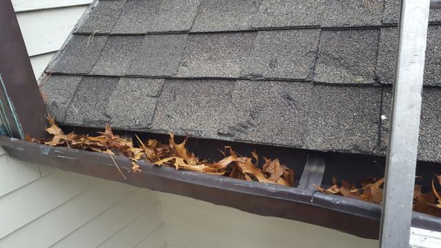 Here some of the damaged and worn out shingles can be seen, with this particular section being near the gutter.