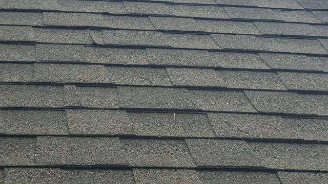 This image shows a wider view of some of the damaged shingles.