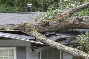 GF Sprague provides fast, and effective emergency roof repair for wind, hail and other storm damage