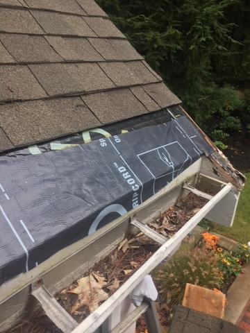 Our crew starts be removing the rows of shingles above the gutter so new ice & water shield can be applied behind the gutter and up the roof.