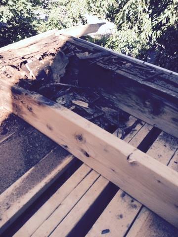 While the rubber roof clearly needed to be replaced, there can often be hidden damage underneath as well. The rotted wood in this roof is a prime example of this.