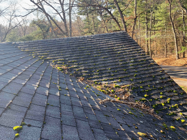 Algae growth on roofs is a sign that water is not being eliminated from the surface. In addition, nearby trees can increase shadiness leading to algae growth. When your roof has a lot of algae growth it can lead to leaks, mold, and shingle deterioration.

