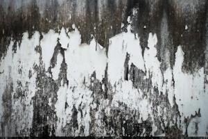 Black Mold Dangers Due To Ice Dams On Boston Homes