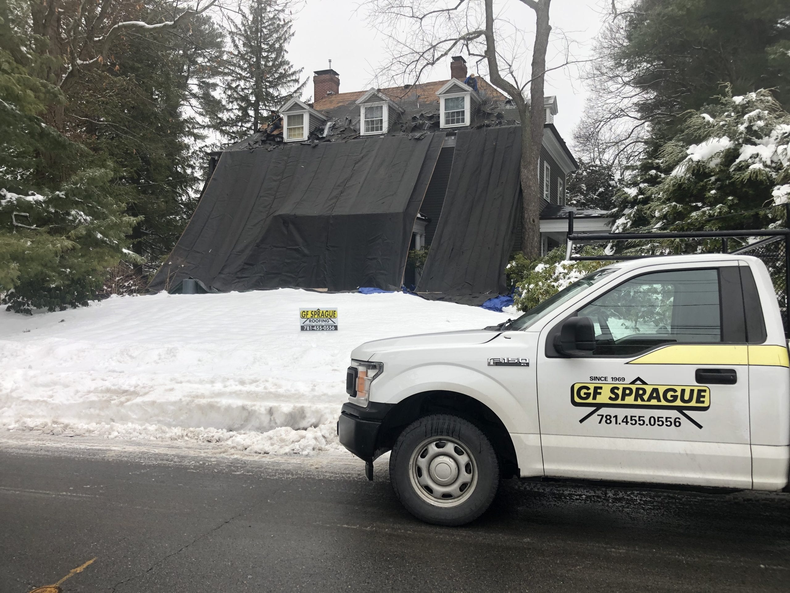 Our team protecting the shrubbery while replacing the asphalt shingle roof.