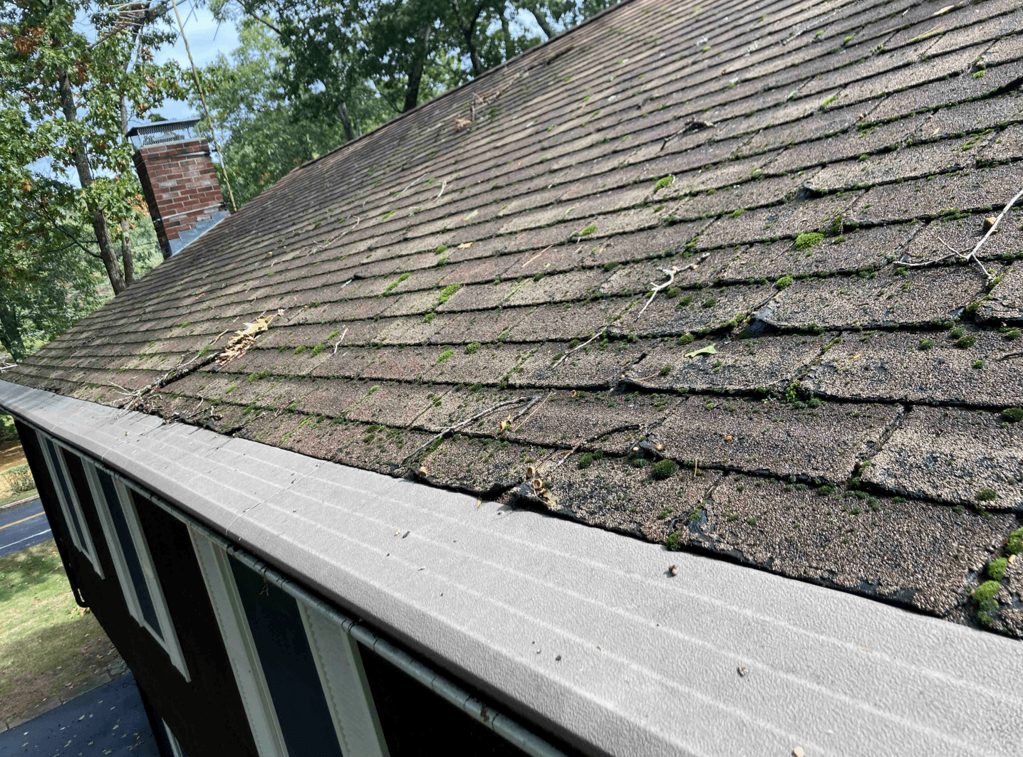 Crumbling asphalt shingles bordering the gutter cover. This is a recipe for disaster.
