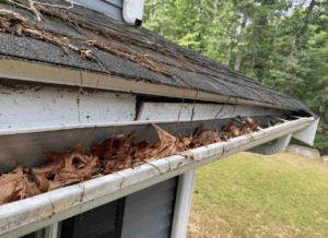 Clogged gutters filled with debris and leaves. The fascia is noticeable deteriorating.