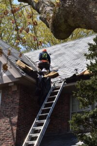 Highly rated roof repair contractor in Dover, Massachusetts